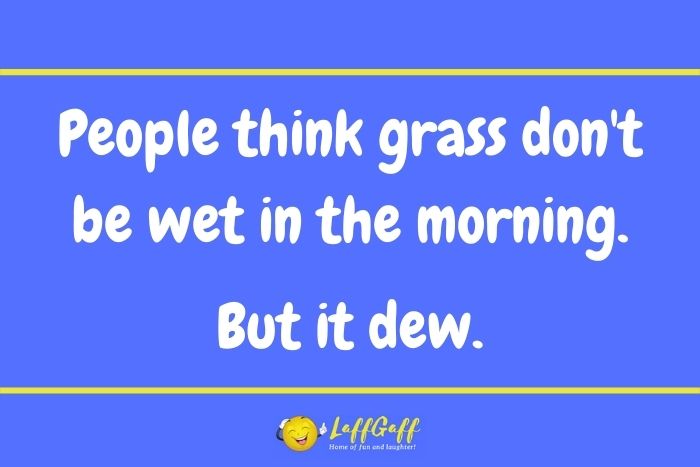 Wet grass joke from LaffGaff.