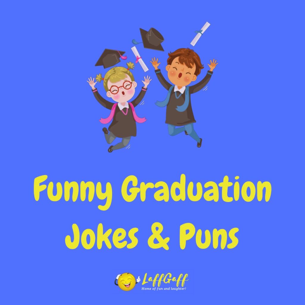 phd graduation puns