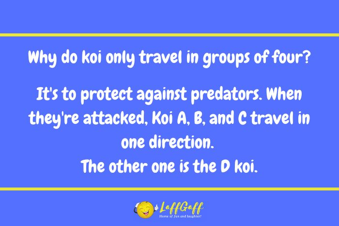 Koi travel joke from LaffGaff.