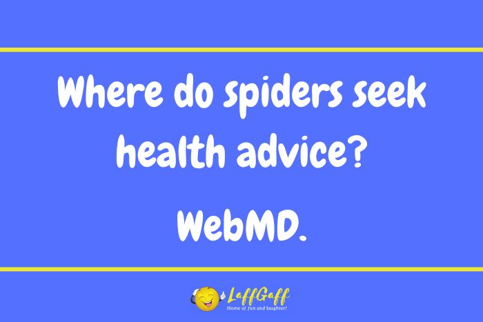 Spider health advice joke from LaffGaff.