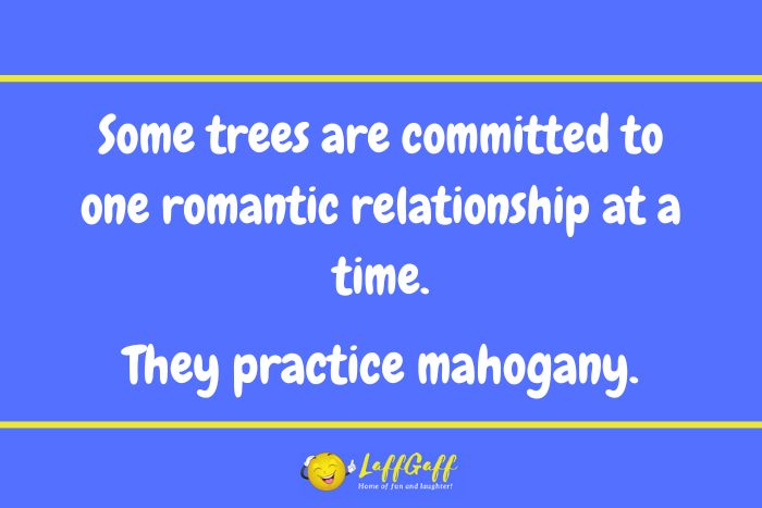 Tree relationships joke from LaffGaff.