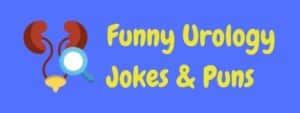 40+ Hilarious Urology Jokes And Puns! | LaffGaff