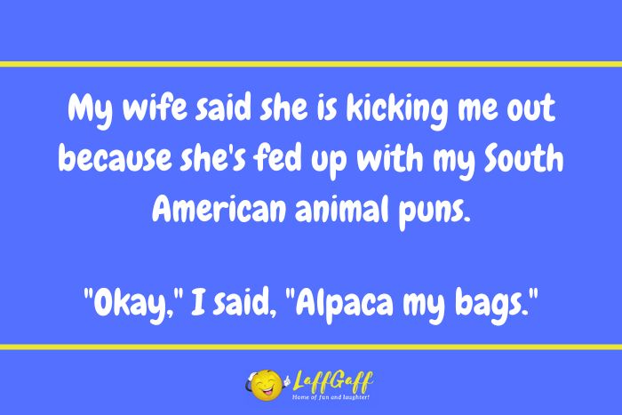 South American animal puns joke from LaffGaff.