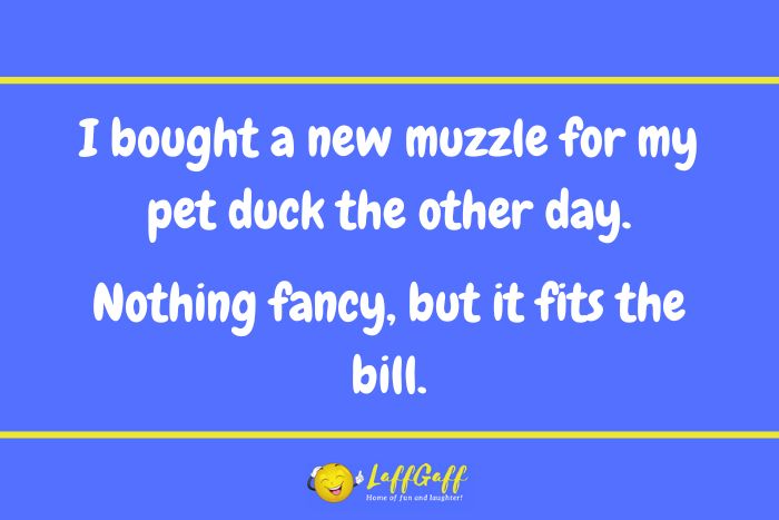 Duck muzzle joke from LaffGaff.