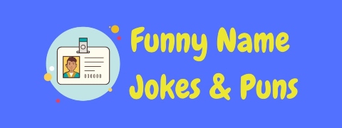 Header image for a page of funny name jokes and puns.
