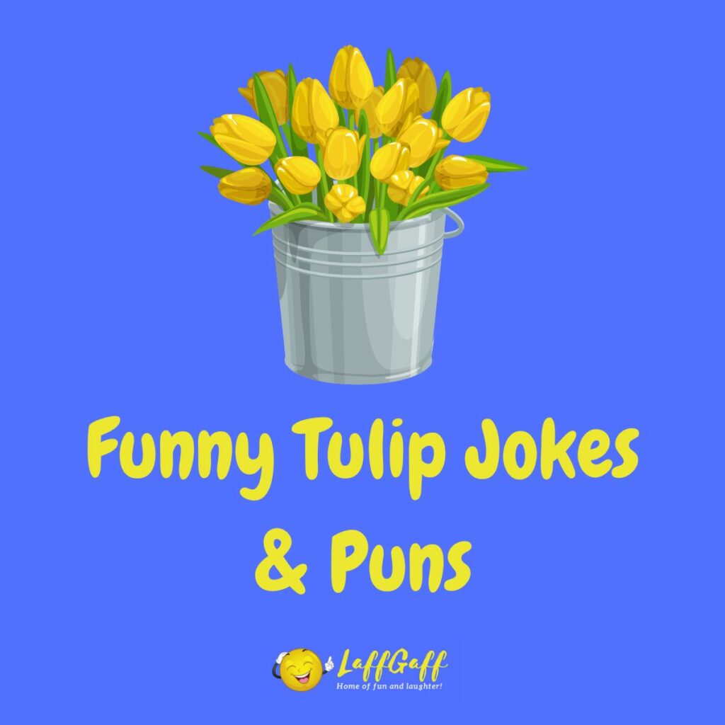 Featured image for a page of funny tulip jokes and puns.
