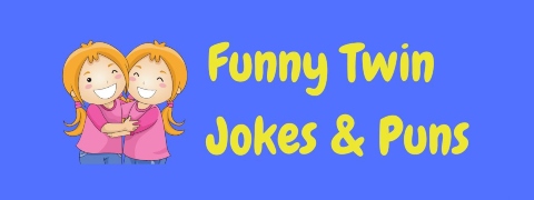 Header image for a page of funny twin jokes and puns.