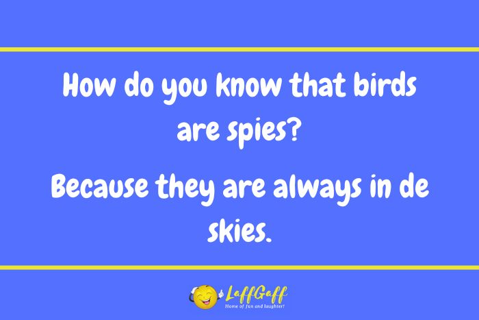 Bird spies joke from LaffGaff.