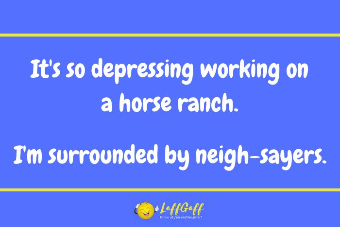 Horse ranch joke from LaffGaff.