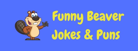 Header image for a page of beaver jokes and puns.