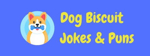 Header image for a page of dog biscuit jokes and puns.