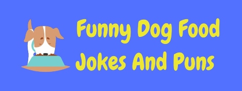 Header image for a page of dog food jokes and puns.