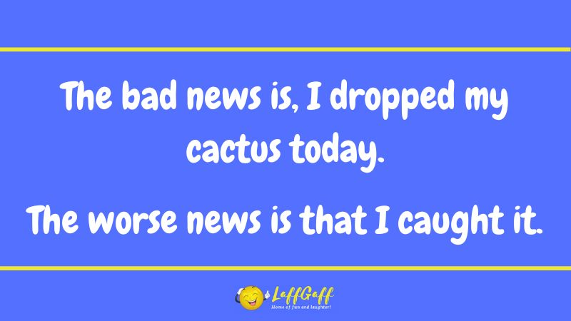 Dropped cactus joke from LaffGaff.