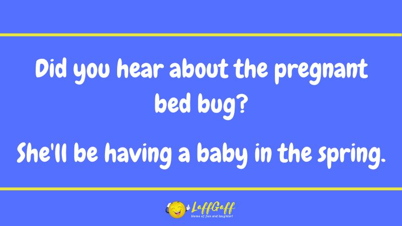 Pregnant bed bug joke from LaffGaff.
