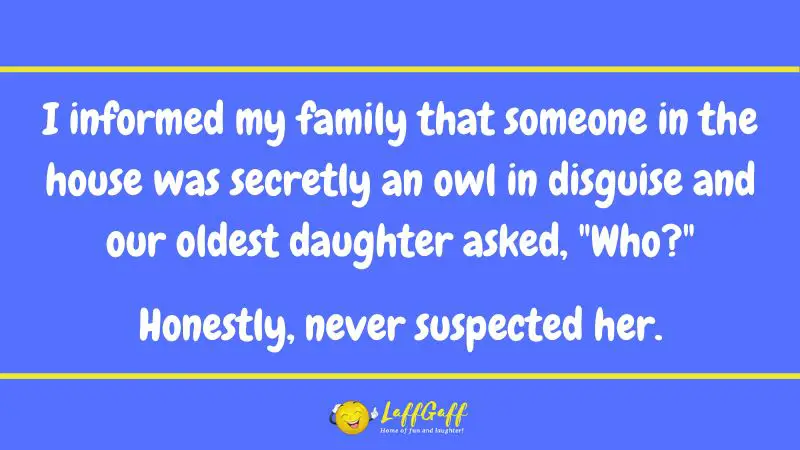 Secret owl joke from LaffGaff.