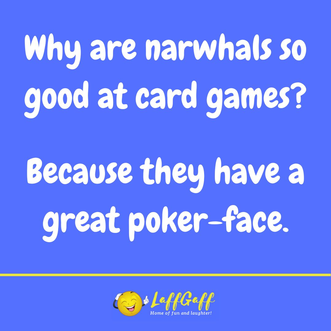 Narwhal card games joke from LaffGaff.