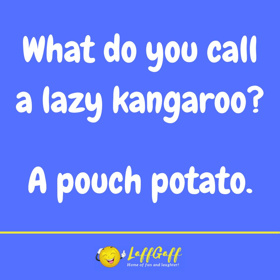 Lazy kangaroo joke from LaffGaff.