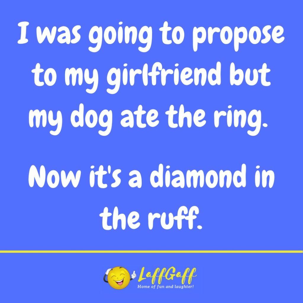 Funny Dog Ate Ring Joke! LaffGaff, Home Of Laughter