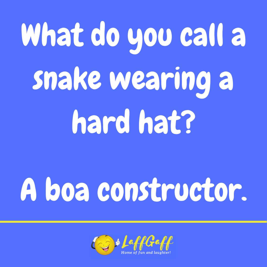 Snake hat joke from LaffGaff.