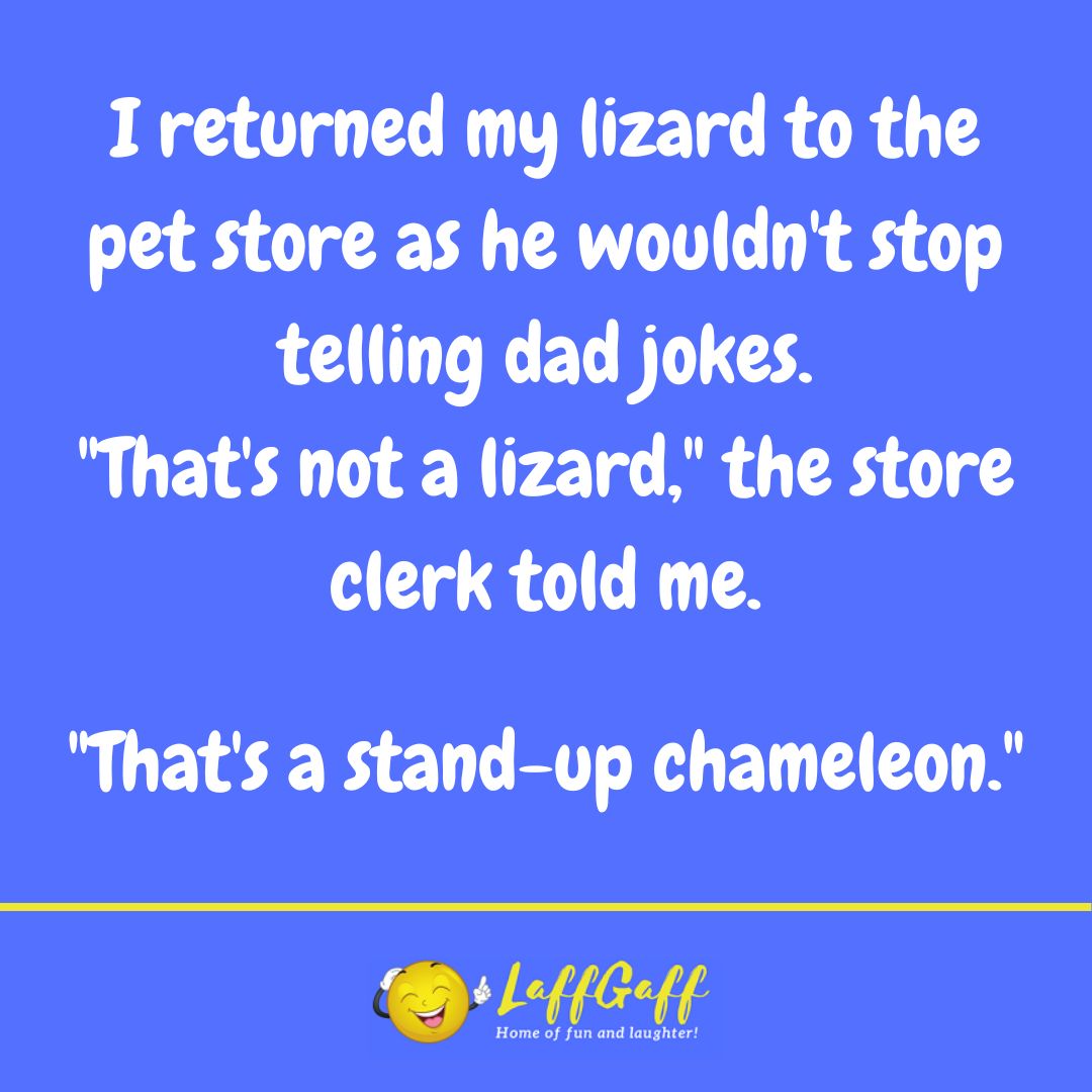 Funny lizard joke from LaffGaff.