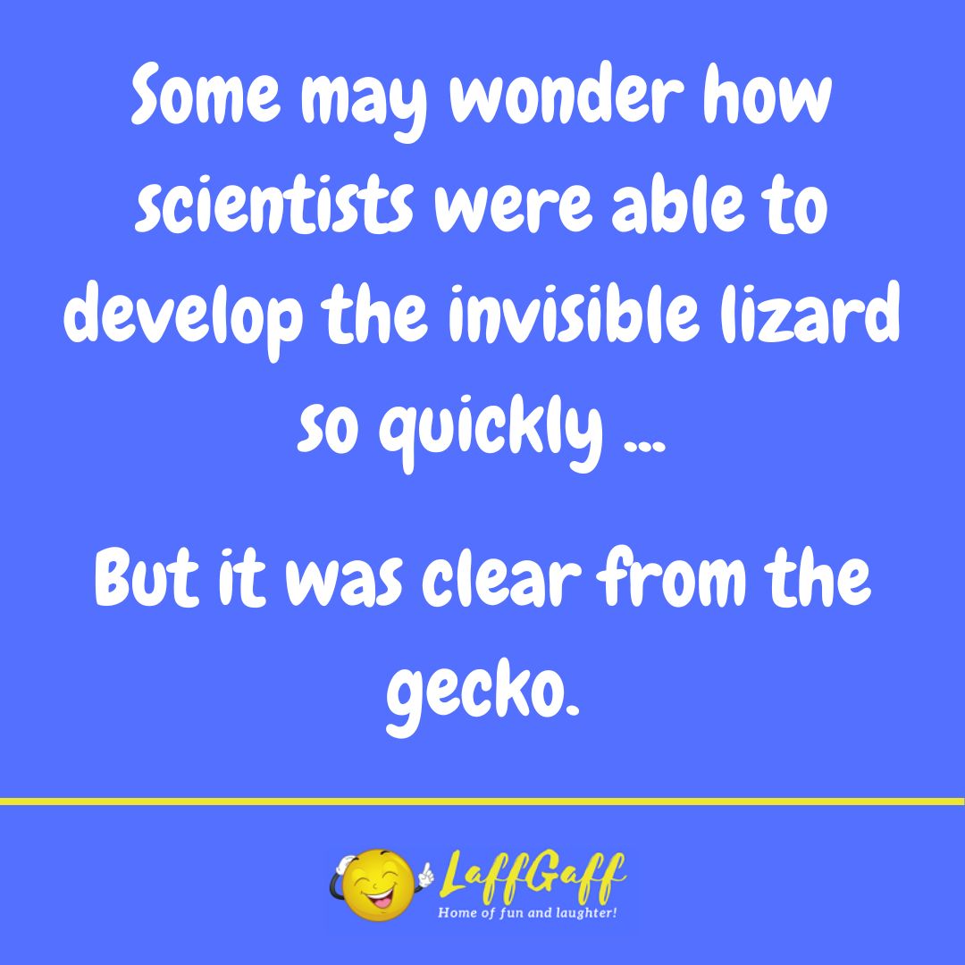 Invisible lizard joke from LaffGaff.