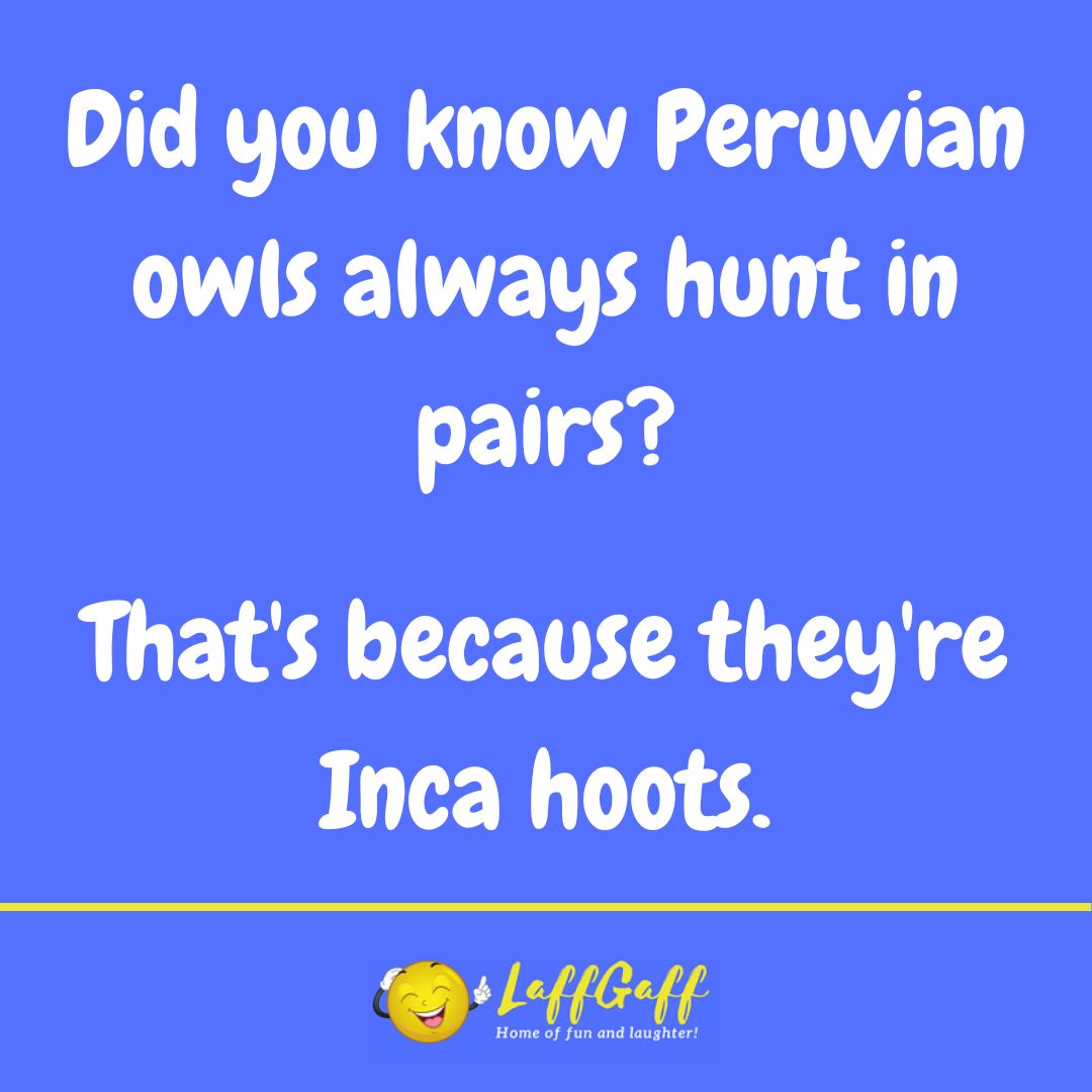Peruvian owls joke from LaffGaff.