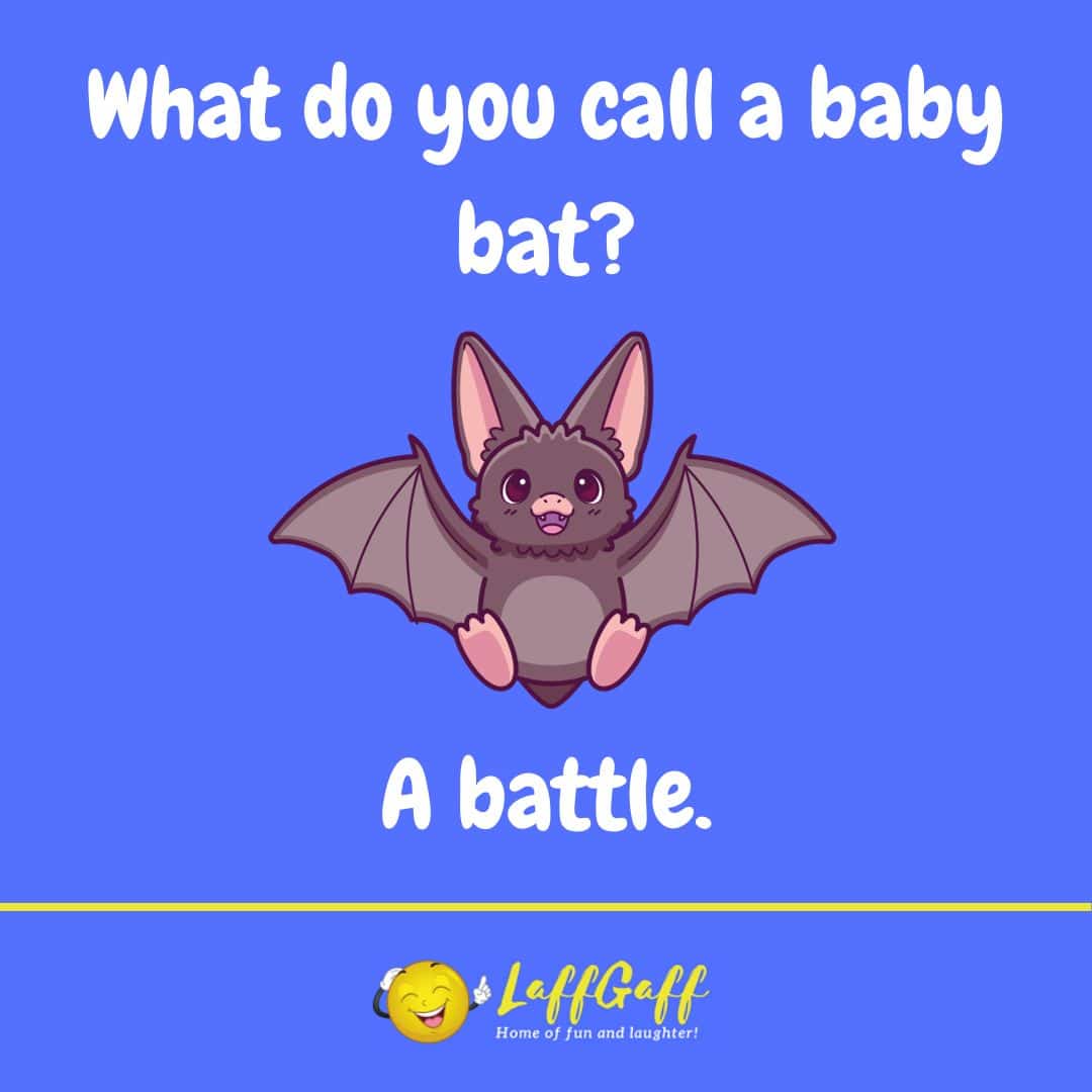 Baby bat joke from LaffGaff.