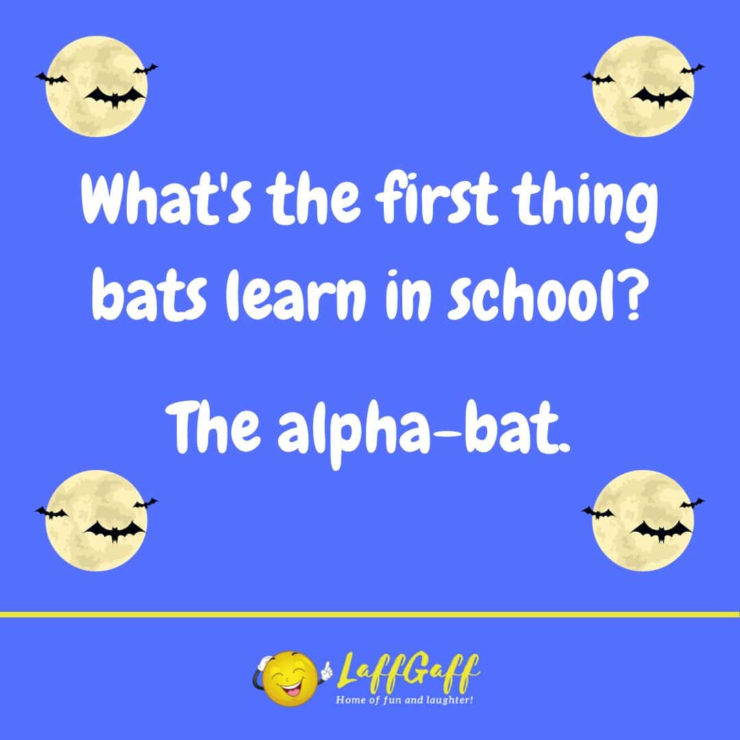 Bat school joke from LaffGaff.