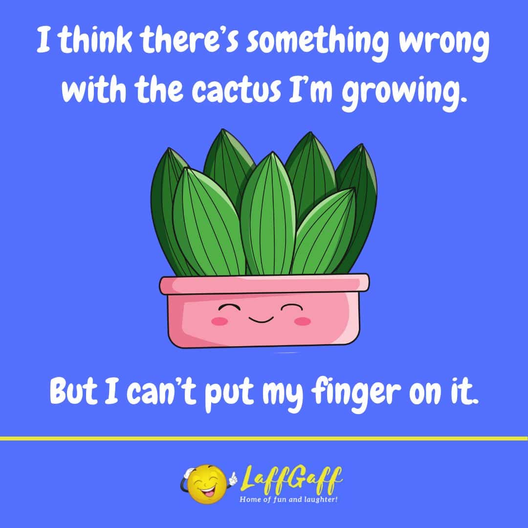 Cactus grower joke from LaffGaff.