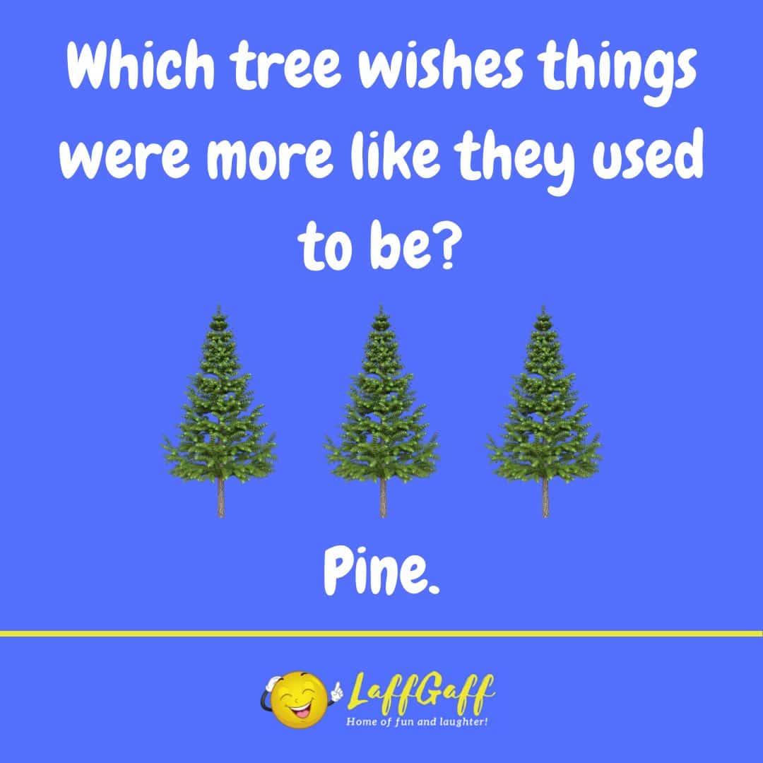 Wishful tree joke from LaffGaff.