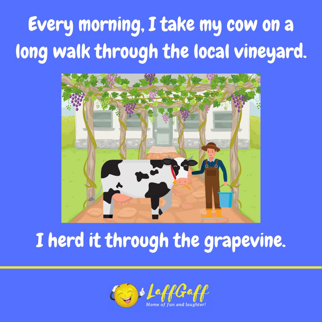 Walk the cow joke from LaffGaff.