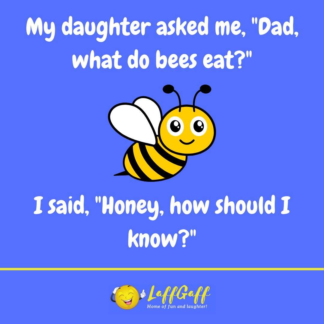 What do bees eat joke from LaffGaff.