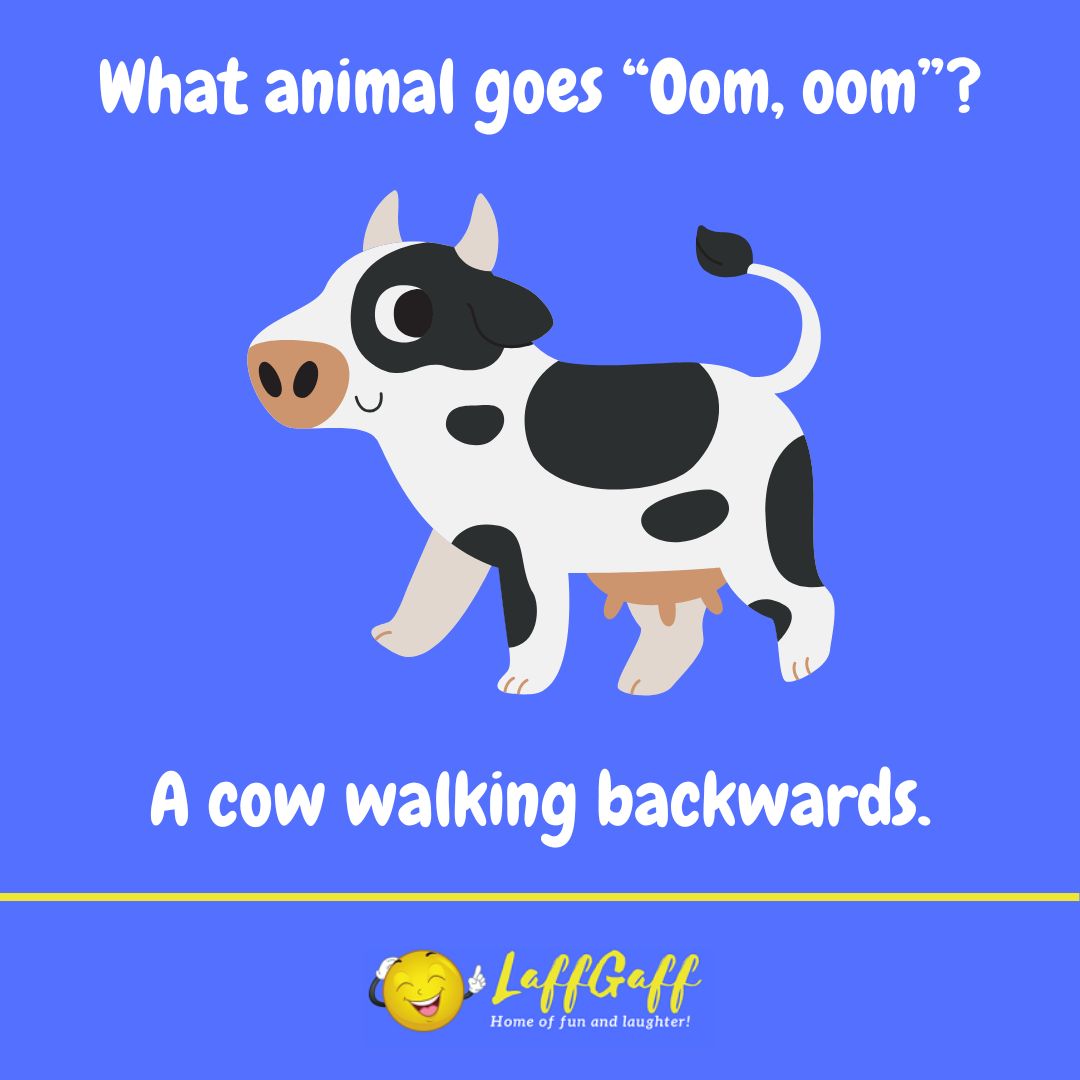 What animal goes oom oom joke from LaffGaff.