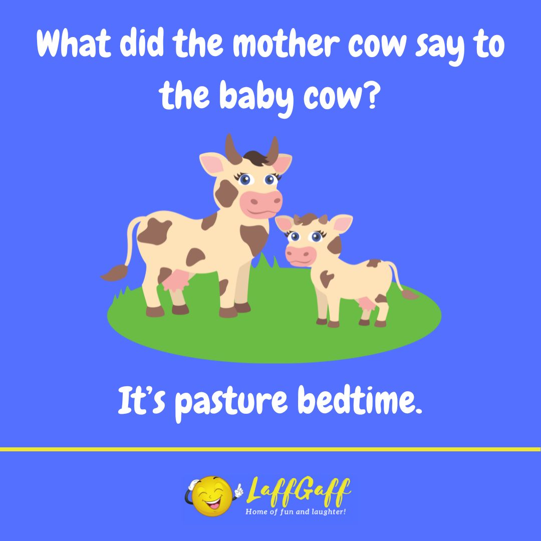 Bedtime cow joke from LaffGaff.