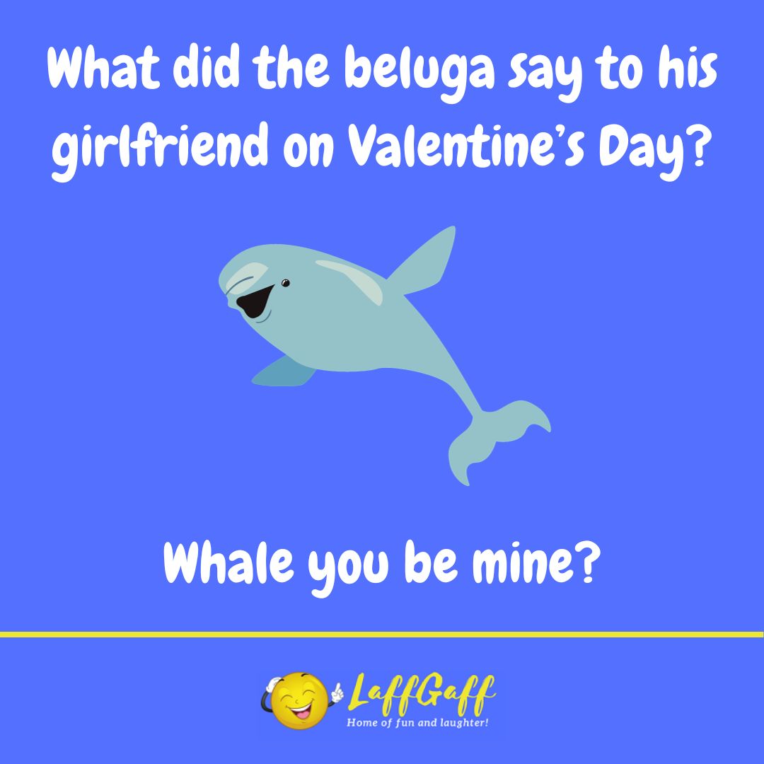 Beluga girlfriend Valentine's joke from LaffGaf.