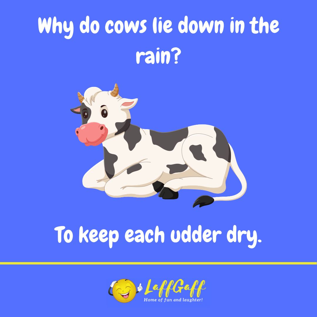 Why do cows lie down in the rain joke.