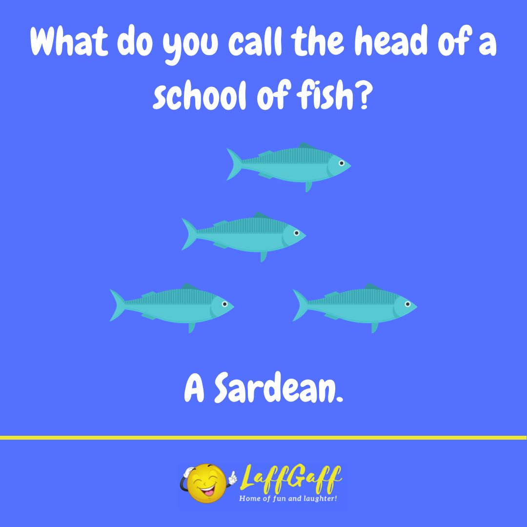 Fish school head joke from LaffGaff.