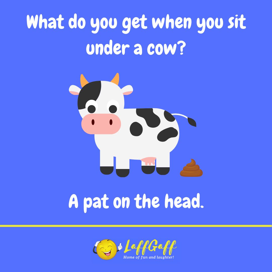 What do you get when you siit under a cow joke from LaffGaff.