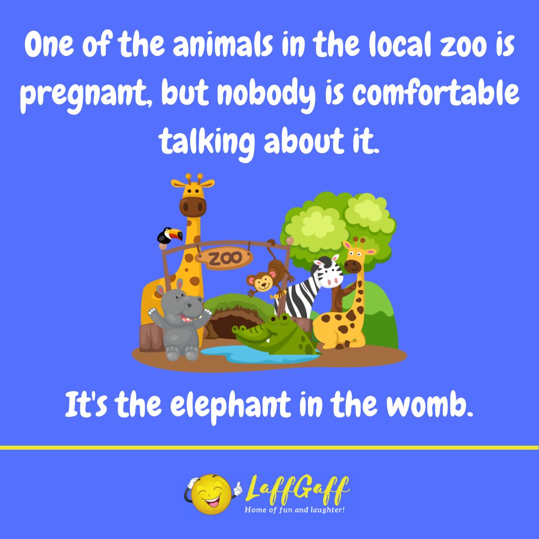 Zoo pregnancy joke from LaffGaff.