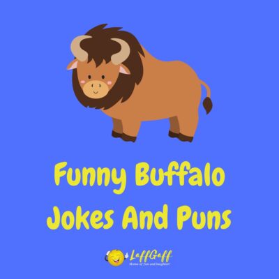 20+ Funny Buffalo Jokes You Won’t Have A Beef With!