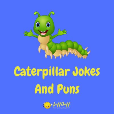 20+ Funny Caterpillar Jokes To Turn You Into A Social Butterfly!