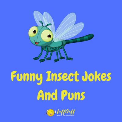 20+ Funny Insect Jokes To Bug Your Friends With!