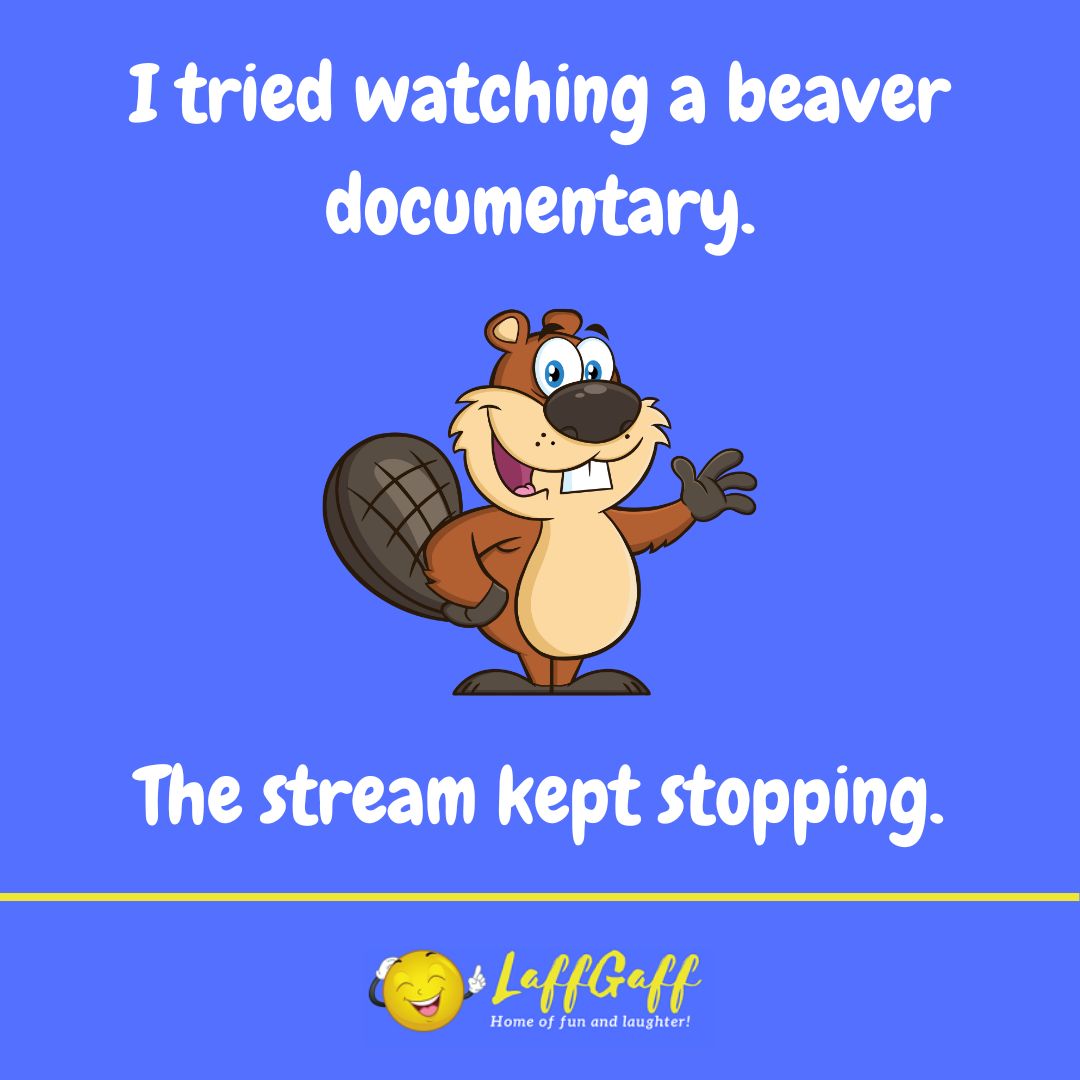 Beaver documentary joke from LaffGaff.