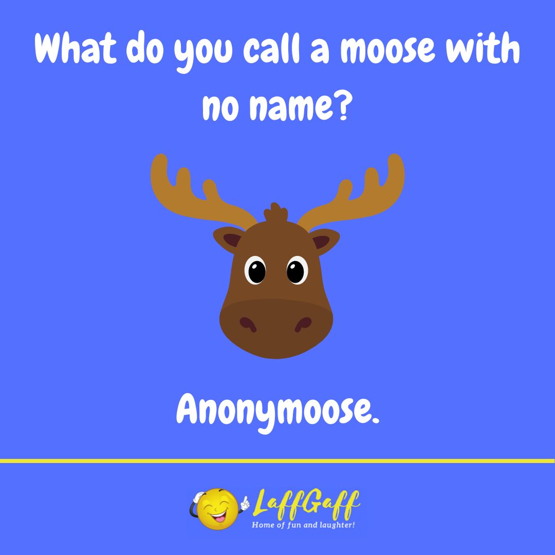 Moose with no name joke from LaffGaff.