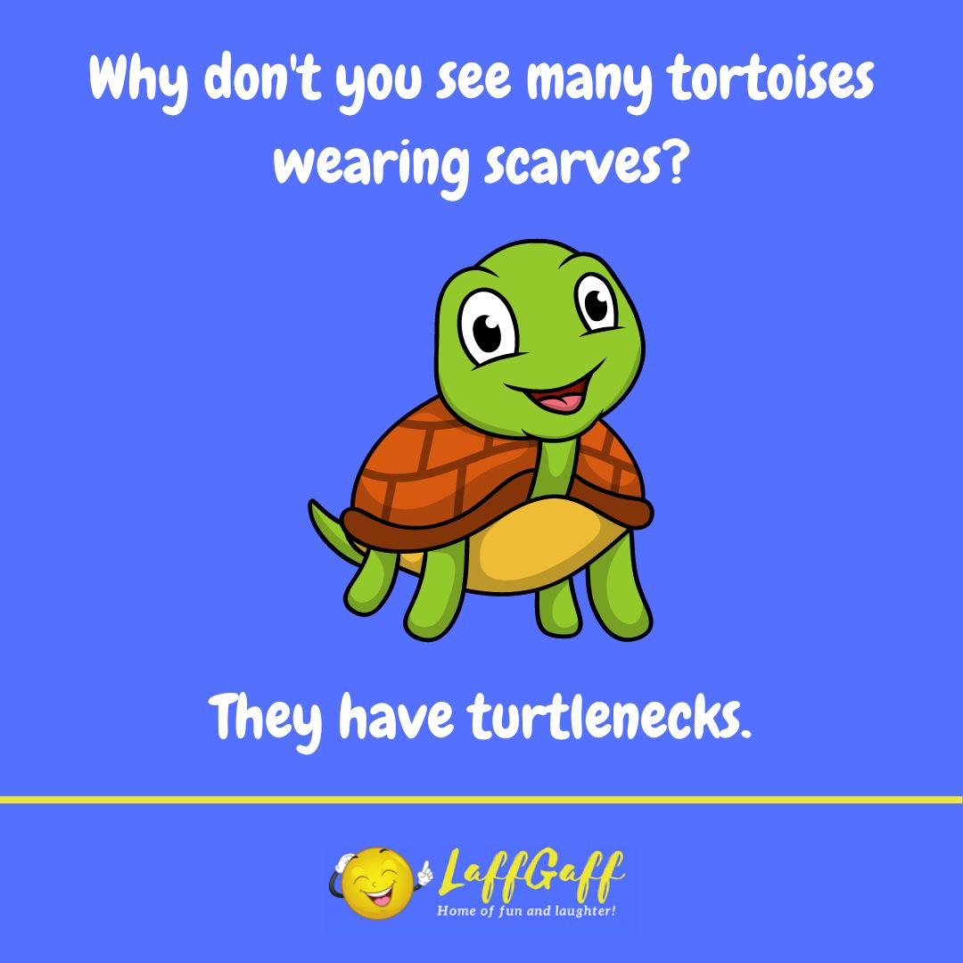 Tortoise scarves joke from LaffGaff.