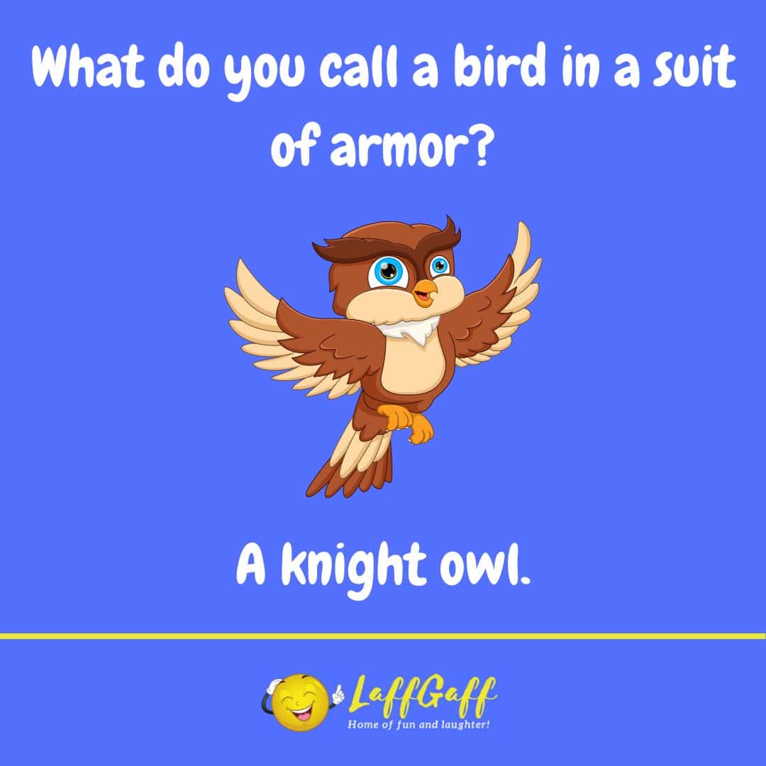 Armored bird joke from LaffGaff.