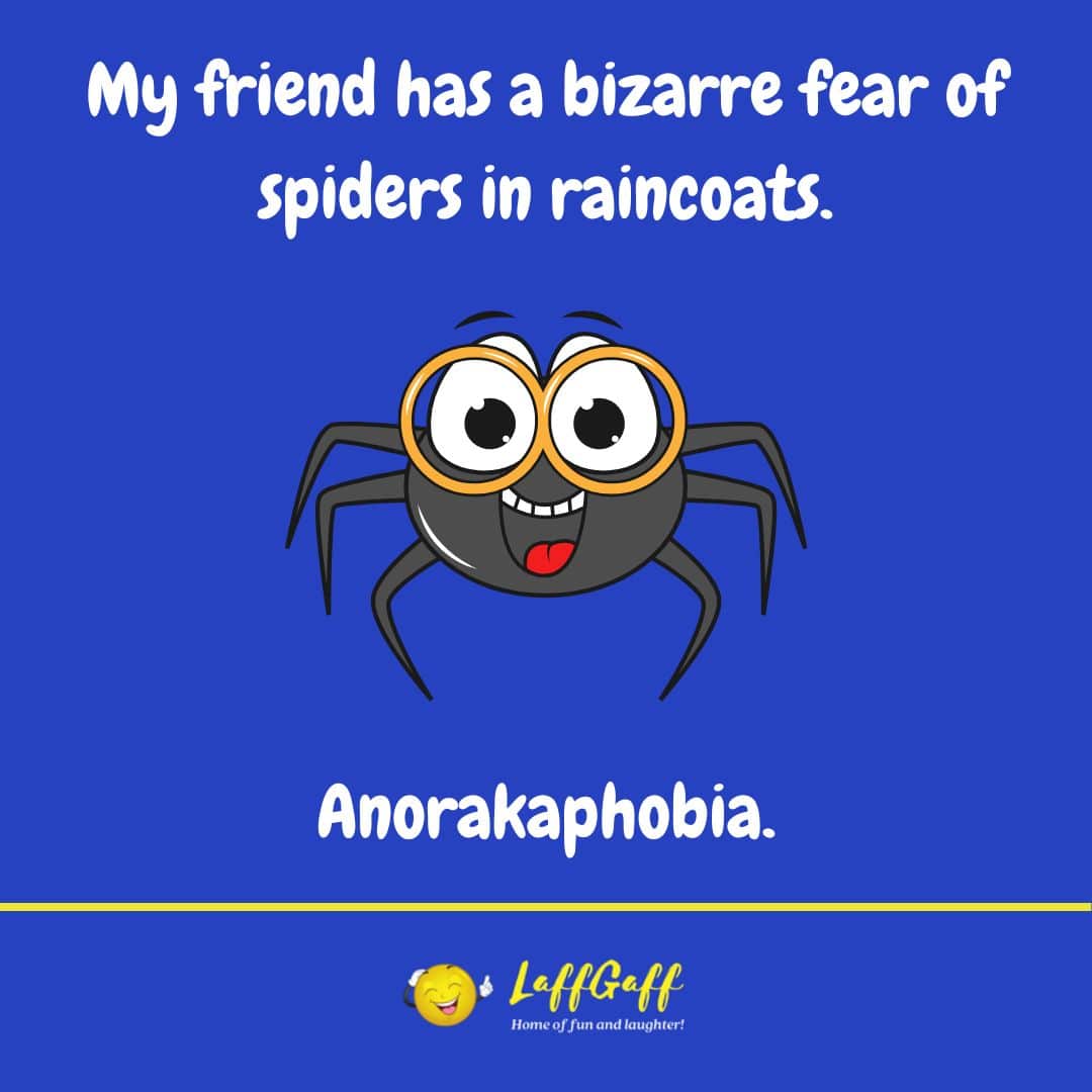 Spiders In Raincoats