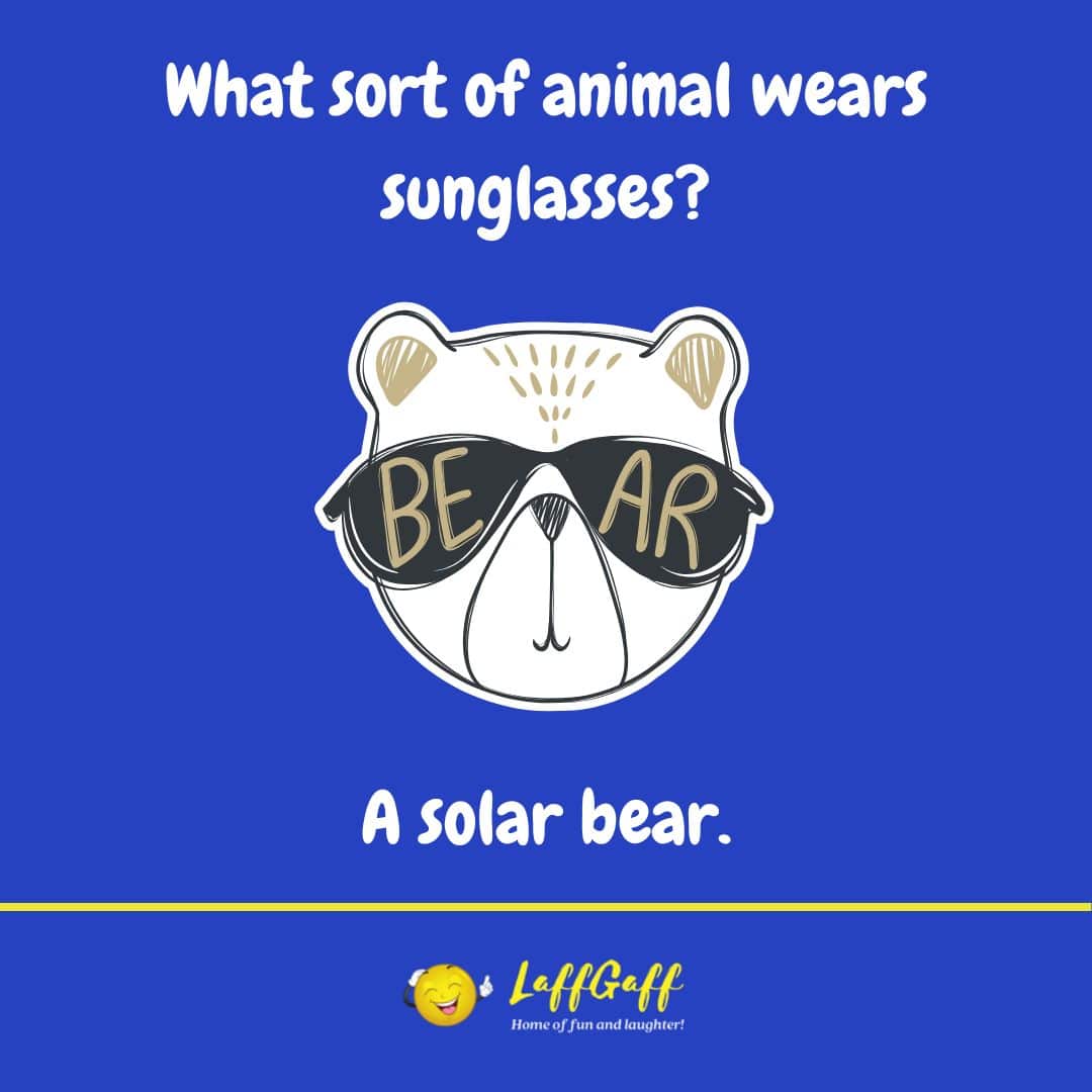 Animal sunglasses joke from LaffGaff.