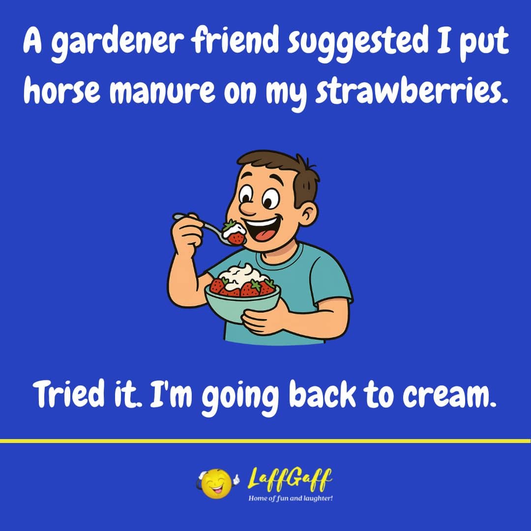Horse Manure