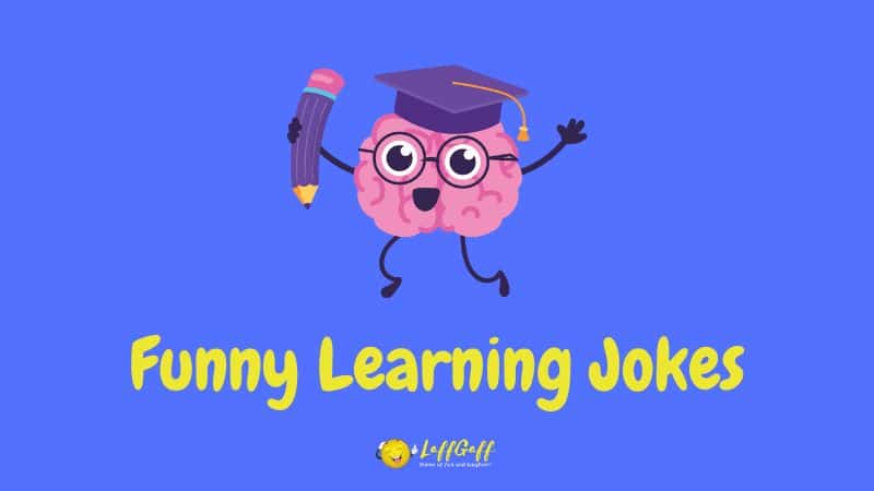 Header image for a collection of learning jokes.